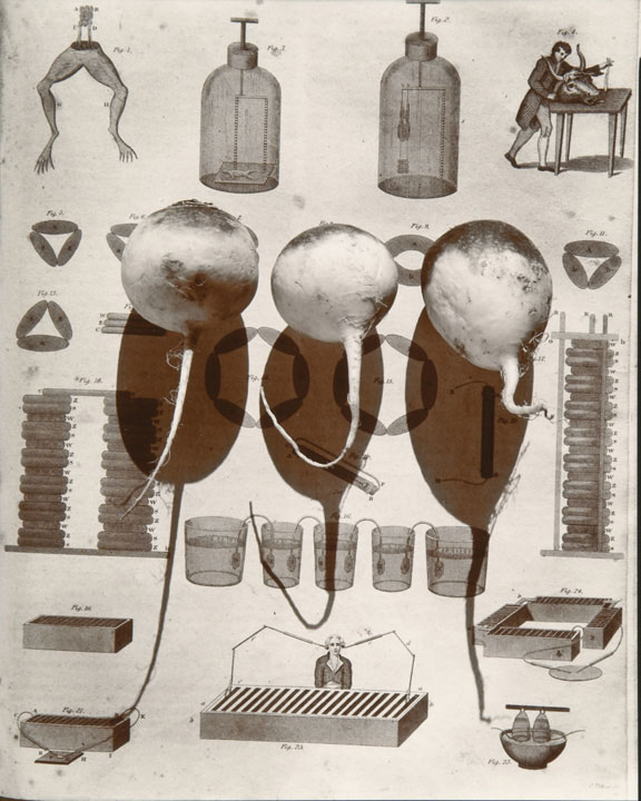 Galvanization (from "Lost Objects portfolio)