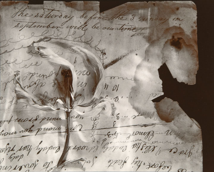 Saturday (from "Lost Objects portfolio)