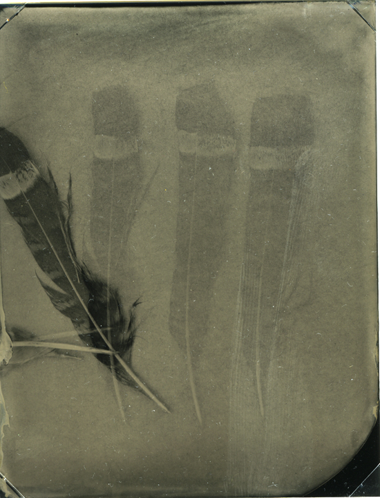 Red Feathers and Blown Away, Dyptic