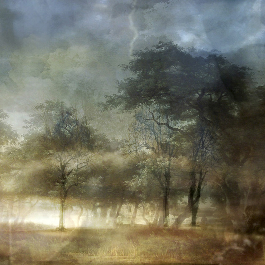 Storm Trees (from Series "Constructed Landscapes")