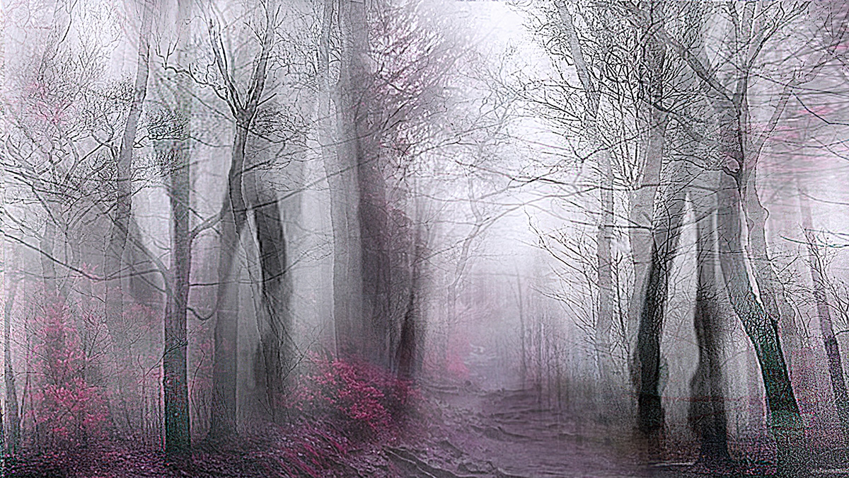 Pale Forest (from Series "Constructed Landscapes")