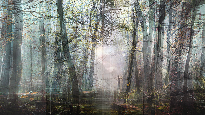 Night Forest (from Series "Constructed Landscapes")