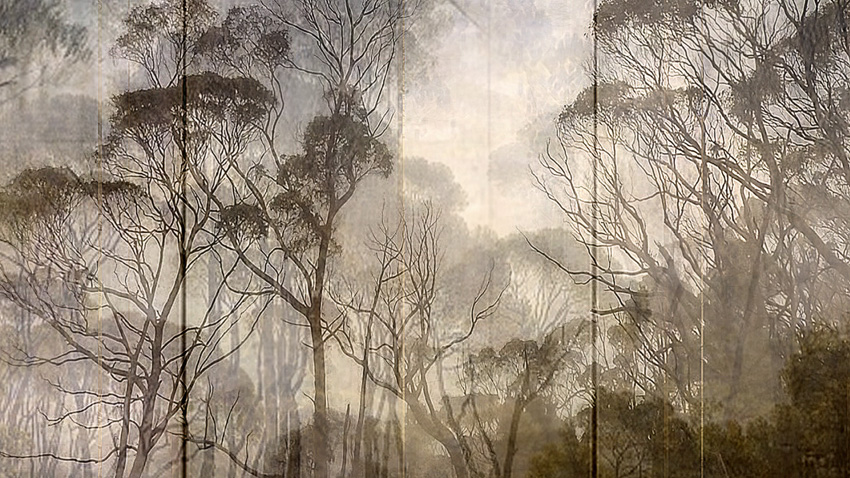 Angelica (from Series "Constructed Landscapes")