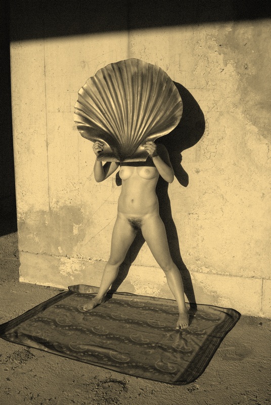 Female Nude #3 (With Shell)