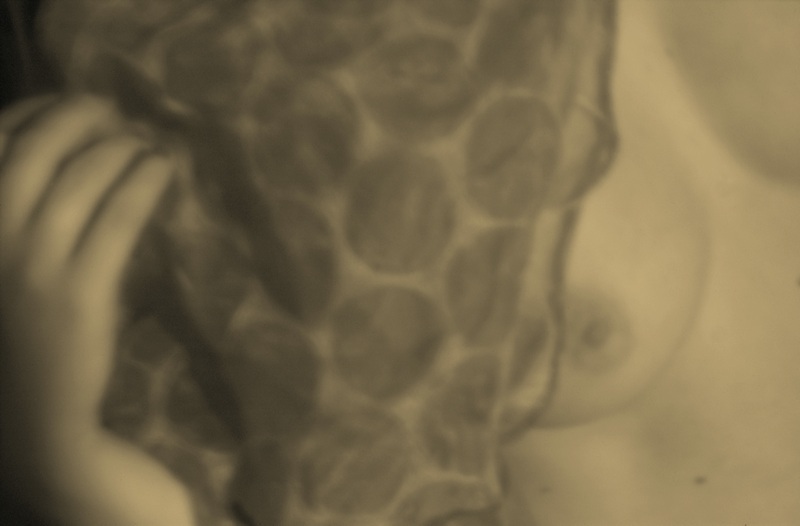 Female Nude #11 (The Veil)