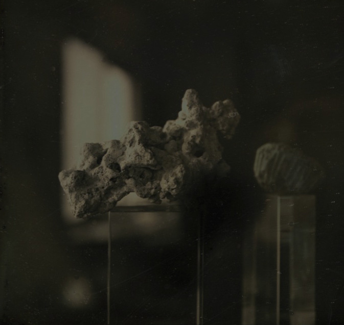 An Okinawan Coral on the Day of Reversion of Okinawa to Japan, Kawasaki