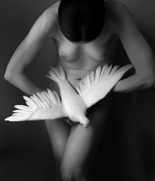 Female Nude with White Dove