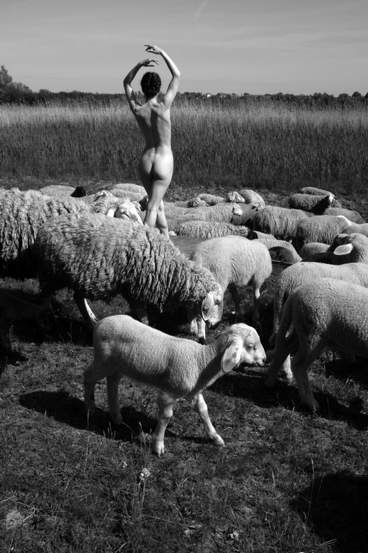 Unexpected Meeting (Female Nude among the Sheep in Serbia)