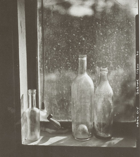 Book of Bottle Prints