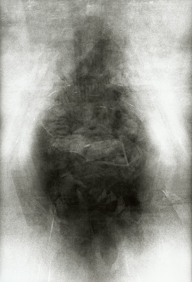 JFK Airport, New York (Fotosinteza)