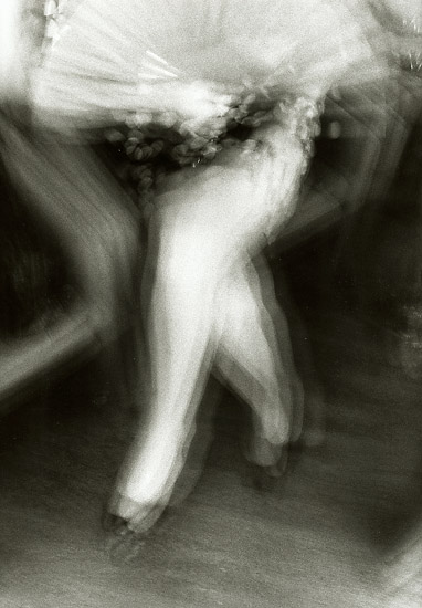 Sevilla, Espagne  (Fotosinteza)