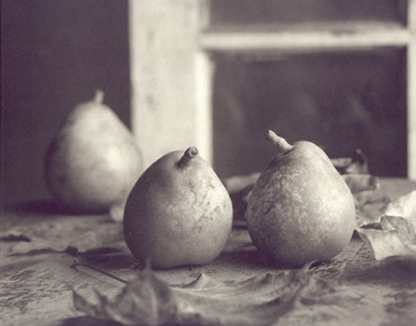 Pears with Leaves