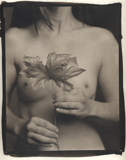 Maple Leaf and Female Nude