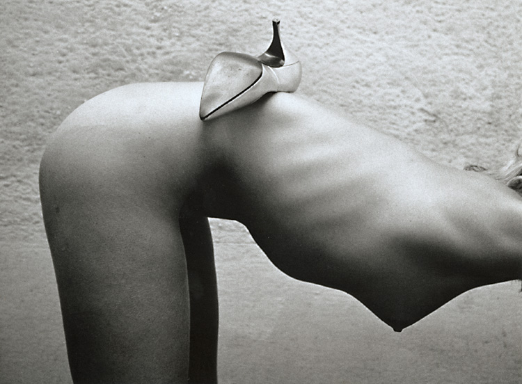 D&eacute;lices des Formes Formes des D&eacute;lices (Delights of Form/Forms of Delight)