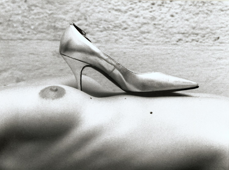 Le chant du d&eacute;sert