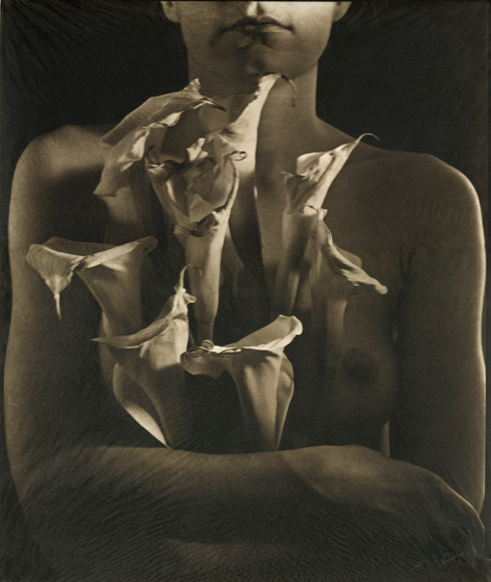 Embracing the Wounds (Female Nude with Lilies)