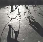 Stanko Abad�ic - Three High Wheelers
Click for more Images