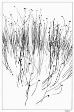 Jiri Bartos - Winter Graphics
Click for more Images