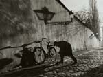 Stanko Abad�ic - Untitled (Man Repairing Bicycle Tire)
Click for more Images