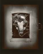 Olivia Parker - Amulet (from "Lost Objects portfolio)
Click for more Images