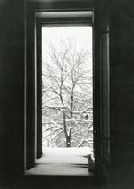 Petr Helbich - House in Demolition
Click for more Images