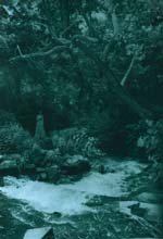 Ted Jones - Woman by Running Stream
Click for more Images