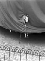 Stanko Abad�ic - Horse Head
Click for more Images