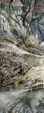 Lisa Holden - Tree II (from Series "Constructed Landscapes")
Click for more Images