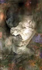 Lisa Holden - Moth
Click for more Images