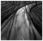Stanko Abad�ic - Road with Light and Shadows, Zagreb,Croatia
Click for more Images