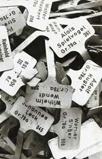 Jan Beran - Markers
Click for more Images