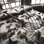 Arthur Tress - Making Leaves, Cold Spring, NY
Click for more Images