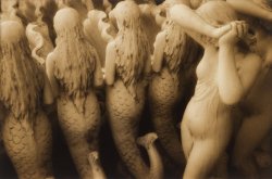 Marcia Lippman - Sirenetta
Click for more Images