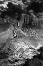 Vincent Serbin - The Fiddler
Click for more Images