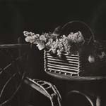 Jeanette Montgomery Barron - Connecticut Still Life
Click for more Images