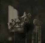 Takashi Arai - An Okinawan Coral on the Day of Reversion of Okinawa to Japan, Kawasaki
Click for more Images