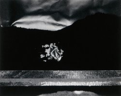 Carl Chiarenza - Noumenon 119? (Abstraction)
Click for more Images