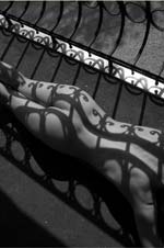 Stanko Abad�ic - Nude No. 32, Zagreb
Click for more Images