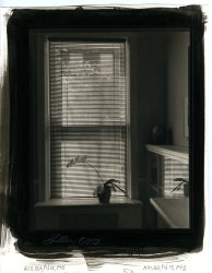 Thomas John Shillea - Cava's Gallery, Philadelphia, PA
Click for more Images