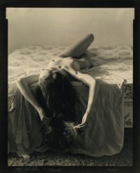 Thomas John Shillea - Touch, or Hair in Sunlight
Click for more Images