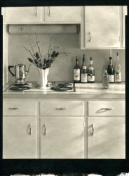 Thomas John Shillea - Kitchen Still Life, Mumford, NY
Click for more Images