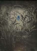 Jerry Spagnoli - Botanical Study
Click for more Images