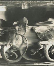 Patrick Bailly-Maitre-Grand - Belphegor
Click for more Images