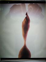 Jack Welpott - Configured (Nude, Back-to-Back, Doubled)
Click for more Images