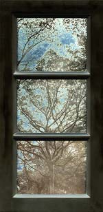 Jerry Spagnoli - Tree Study (Tryptic)
Click for more Images