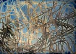 Charlie Schreiner - Fettuccine
Click for more Images