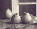 Ray Bidegain - Pears with Leaves
Click for more Images