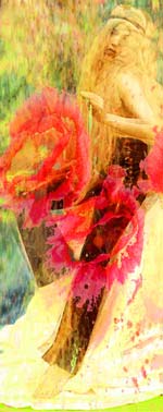 Lisa Holden - Garden (Rock)
Click for more Images