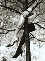 Marcel Marien - Le Fruit Defendu (The Forbidden Fruit)
Click for more Images