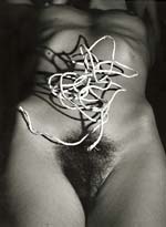 Marcel Marien - Le fil de la vierge
Click for more Images